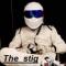 The_stig